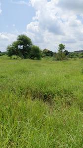 Image of 4840 Sq.ft Residential Plot / Land for sale in Mominpet, Hyderabad for Rs. 7500000