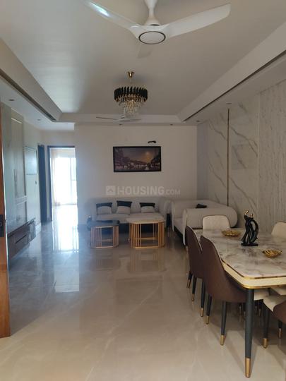 Amolik Aster Woods Main Image 1