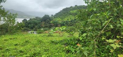 Image of 78000 Sq.ft Residential Plot / Land for sale in Varasgaon, Pune for Rs. 23400000