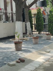 Image of 2700 Sq.ft 5 BHK Independent House for sale in Sector 79, Mohali for Rs. 80000000