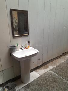 Bathroom Image of 400 Sq.ft 2 BHK Builder Floor for rent in Model Town Phagwara for Rs. 13000