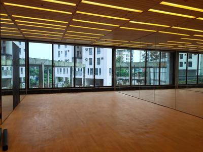 Hall Image of 4004 Sq.ft 5 BHK Apartment / Flat for sale in Fort Verde, Ballygunge Kolkata for Rs. 80000000