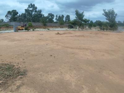 Residential Plot