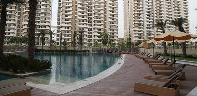Image of 1000 Sq.ft 2 BHK Apartment / Flat for rent in ACE City, Noida Extension, Greater Noida for Rs. 19000