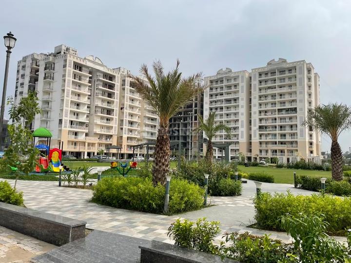 Motia Blue Ridge Main Image 1