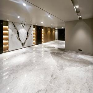 Hall Image of 4700 Sq.ft 9 BHK Villa for sale in Palam Vihar Gurgaon for Rs. 120000000