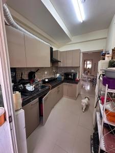 Kitchen Image of 1650 Sq.ft 3 BHK Apartment / Flat for sale in Orris Aster Court, Sector 85 Gurgaon for Rs. 15500000