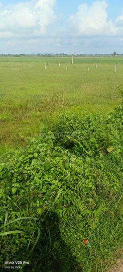 Khordha Main Image 1