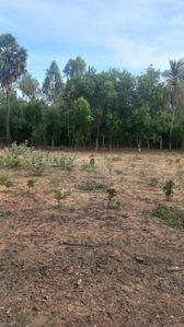 Image of 3028 Sq.ft Residential Plot / Land for sale in Kadappakkam, Chengalpattu, Chennai for Rs. 2120000