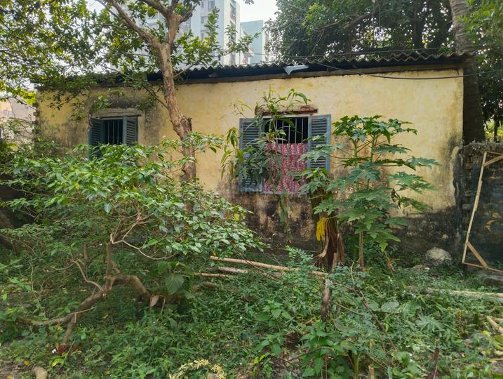 Entally Main Image 1