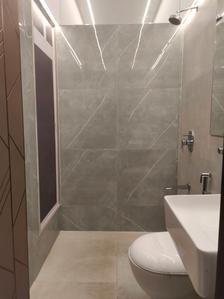 Common Bathroom Image of 450 Sq.ft 1 BHK Apartment / Flat for sale in Emerald Dotom Isle, Kandivali West Mumbai for Rs. 8800000