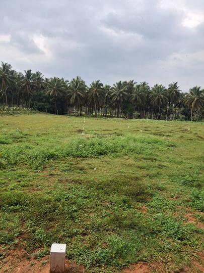 Mithran Nagar Main Image 1