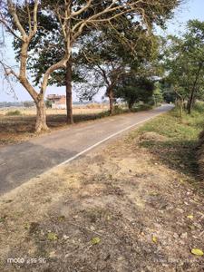 Danapur Chandmari Hathiyakand Plot View 3
