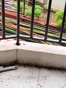 Balcony Image of 950 Sq.ft 2 BHK Apartment / Flat for rent in Dum Dum Kolkata for Rs. 18000