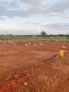Image of 3600 Sq.ft Residential Plot / Land for sale in Shadnagar, Ranga Reddy for Rs. 3600000
