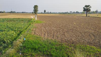 Masaurhi Plot View 2