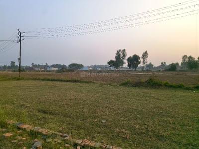 Avas Vikas Colony More Images 3