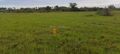 Image of 1200 Sq.ft Residential Plot / Land for sale in Duli, Tiruvannamalai for Rs. 180000
