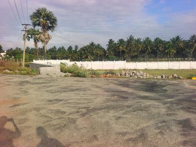 Thamaraikulam Plot View 3
