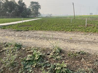 Image of 3600 Sq.ft Residential Plot / Land for sale in Kalyani, Nadia for Rs. 1250000