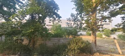 Image of 1350000 Sq.ft Residential Plot / Land for sale in Sarojini Nagar, Lucknow for Rs. 400000000