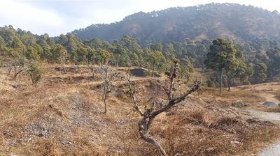 Image of 29025 Sq.ft Residential Plot / Land for sale in Bhimtal, Nainital for Rs. 20250000
