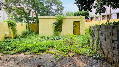 Shankarpur Plot View 3