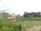Apparent JB Garden Main Image 1