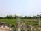 BHASA ECO VILLEGE Main Image 1