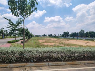 Residential Plot