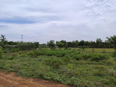 Image of 1800 Sq.ft Residential Plot / Land for sale in Walajabad, Chennai for Rs. 3960000