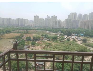 Balcony Image of 1147 Sq.ft 2.5 BHK Apartment / Flat for rent in JM Orchid, Sector 76 Noida for Rs. 31000
