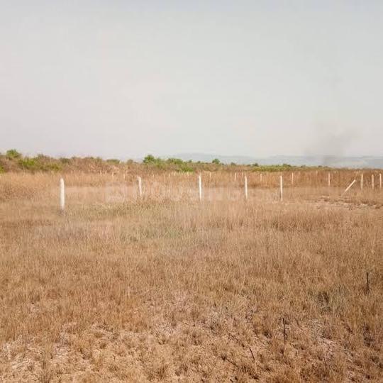 Pirkon Main Image 1