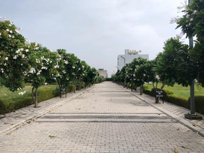 Image of 125 Sq.ft Residential Plot / Land for sale in Mansha Oaks, Sector 98, Faridabad for Rs. 13750000