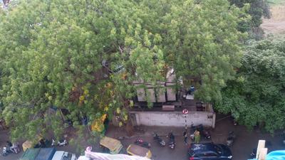 Image of 1150 Sq.ft 2 BHK Apartment / Flat for sale in Bodakdev, Ahmedabad for Rs. 6900000
