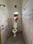 Shiv shakti Realtors Bathroom 1