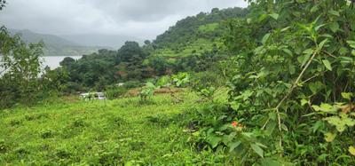 Image of 520000 Sq.ft Residential Plot / Land for sale in Varasgaon, Pune for Rs. 123500000