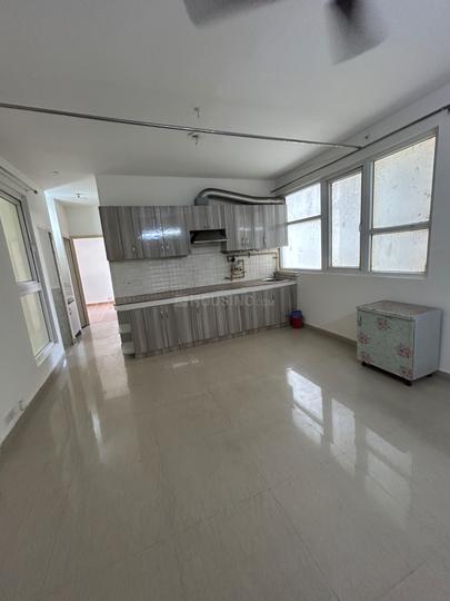 Tulip Lemon Main Image 1