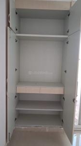 Bedroom Image of 556 Sq.ft 2 BHK Apartment / Flat for rent in Amrapali Riverview, Noida Extension Greater Noida for Rs. 18000