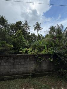 Image of 3267 Sq.ft Residential Plot / Land for sale in Kuttoor, Thrissur for Rs. 515000