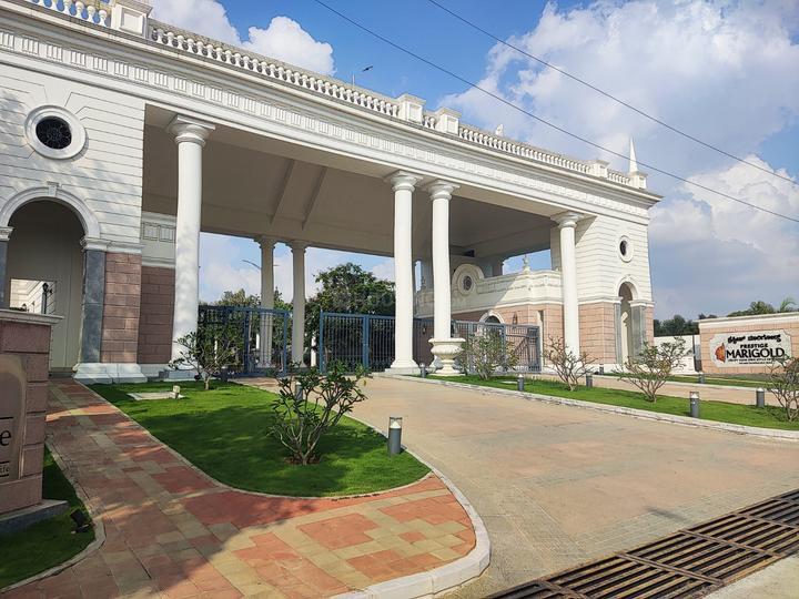 Prestige Marigold Main Image 1