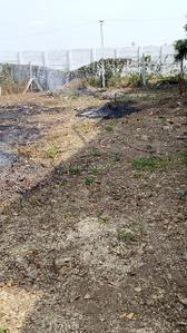 Image of 1350 Sq.ft Residential Plot / Land for sale in Pichandarkovil, Tiruchirappalli for Rs. 4400000