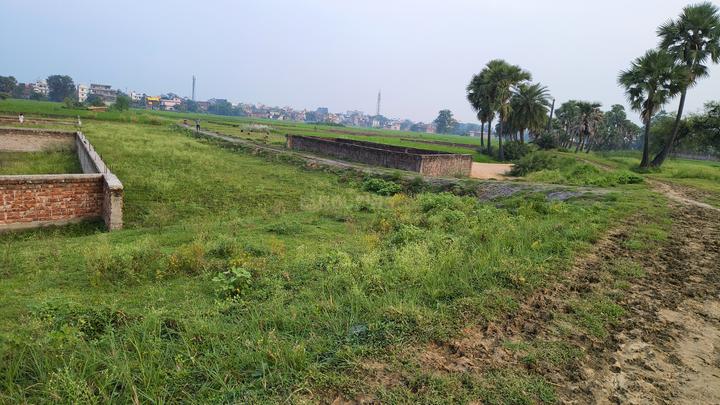 Rksinha Main Image 1