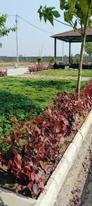 Image of 968 Sq.ft Residential Plot / Land for sale in Bhilai Marshalling Yard, Charoda for Rs. 1645000