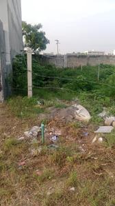 Sector 105 Plot View 2