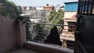 Image of 900 Sq.ft 2 BHK Builder Floor for rent in Indirapuram, Ghaziabad for Rs. 21000