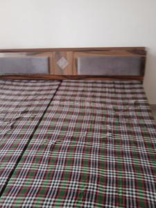 Bedroom Image of 1200 Sq.ft 2 BHK Builder Floor for rent in Sector 77 Mohali for Rs. 26000