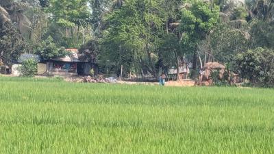 Image of 19166 Sq.ft Residential Plot / Land for sale in Uttarbhag, South 24 Parganas for Rs. 1200000