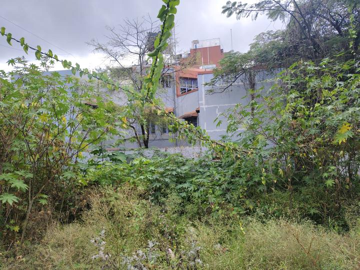 Geddalahalii, Sanjaynagar Main Image 1