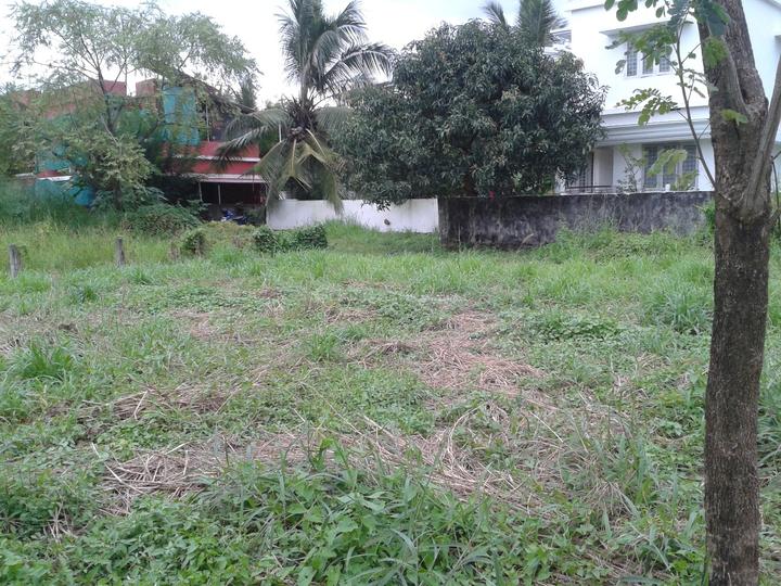 Punkunnam Main Image 1